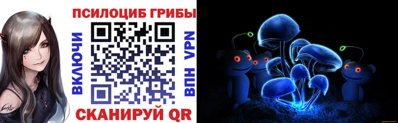 Купить где  Сафоново  Псилоцибиновые грибы Cubensis 